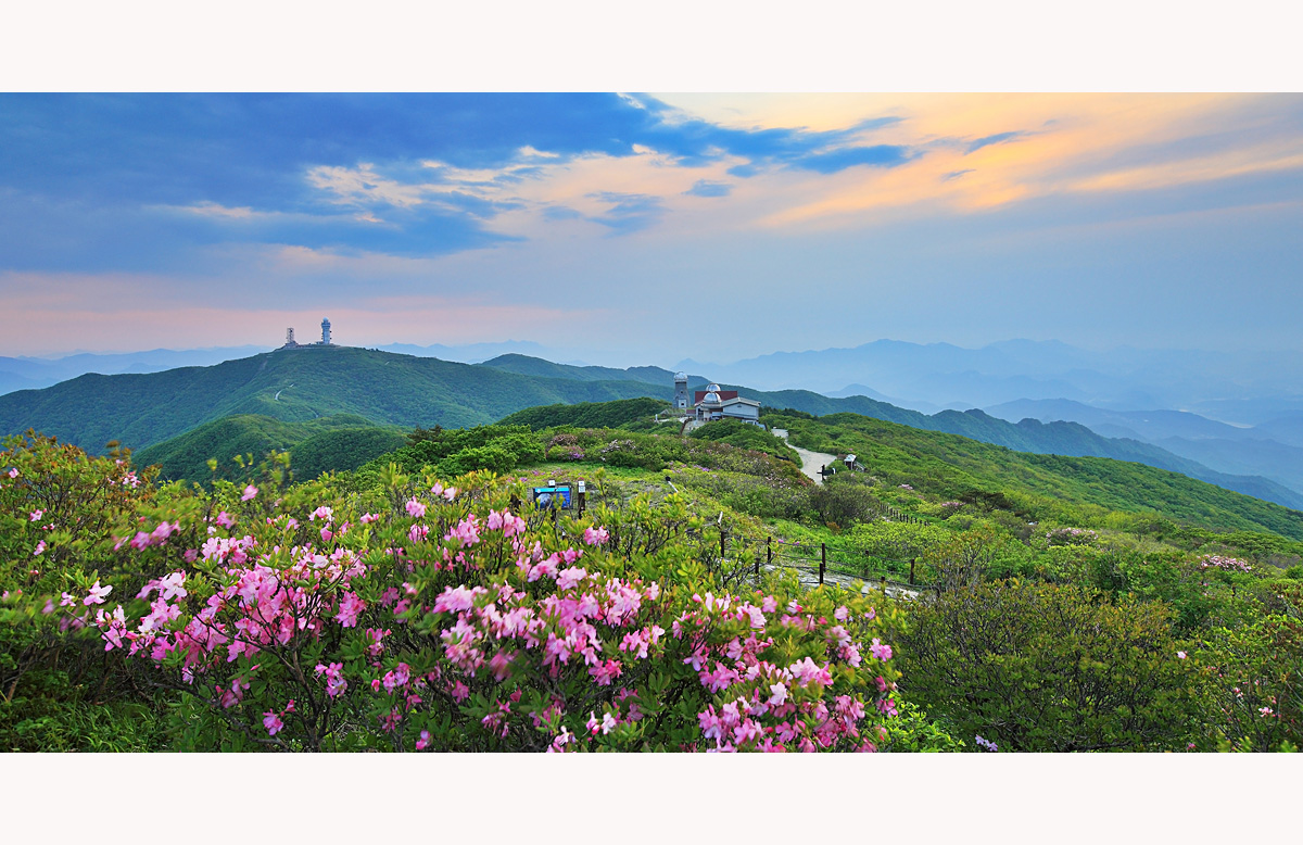 http://www.flowermin.com/bbs/board.php?bo_table=g_gallery&wr_id=1756 노출 > 손님갤러리 > 소백산